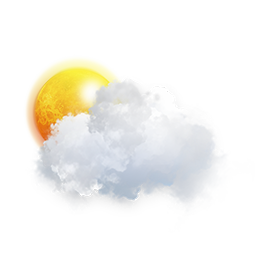 阴